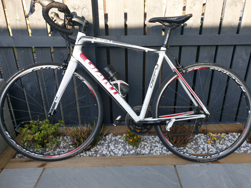giant defy gumtree